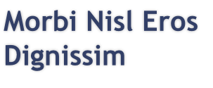 Morbi Nisl Eros
Dignissim
